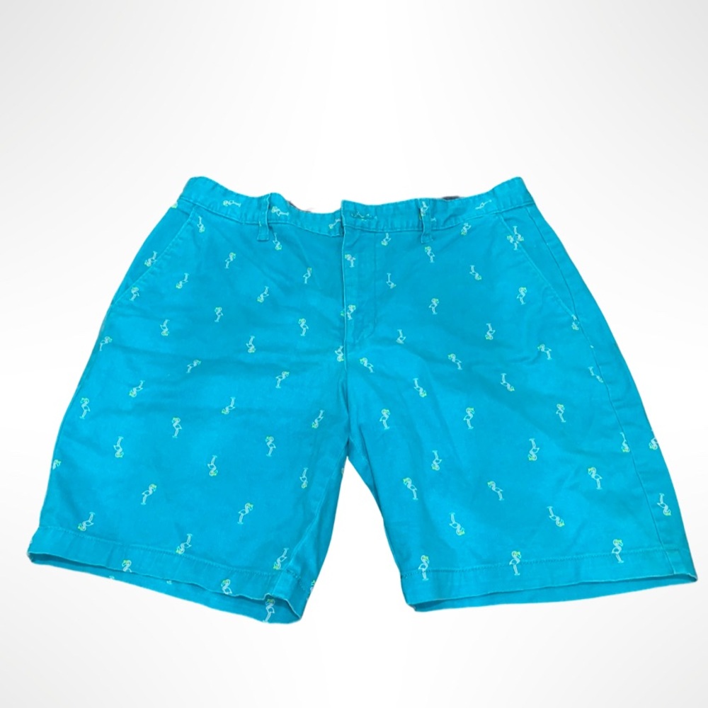 Men’s summer shorts - teal with flamingo detail